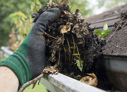 Gutter Cleaning